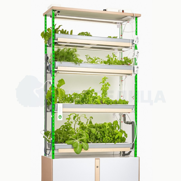 Гидропонная ферма «Лаборатория биолога 3.0» с базовым набором расходных материалов.